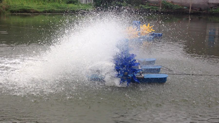What determines the layout of fish pond aerators
