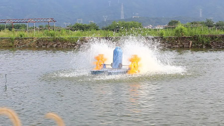 Selection and installation of fishpond aerator